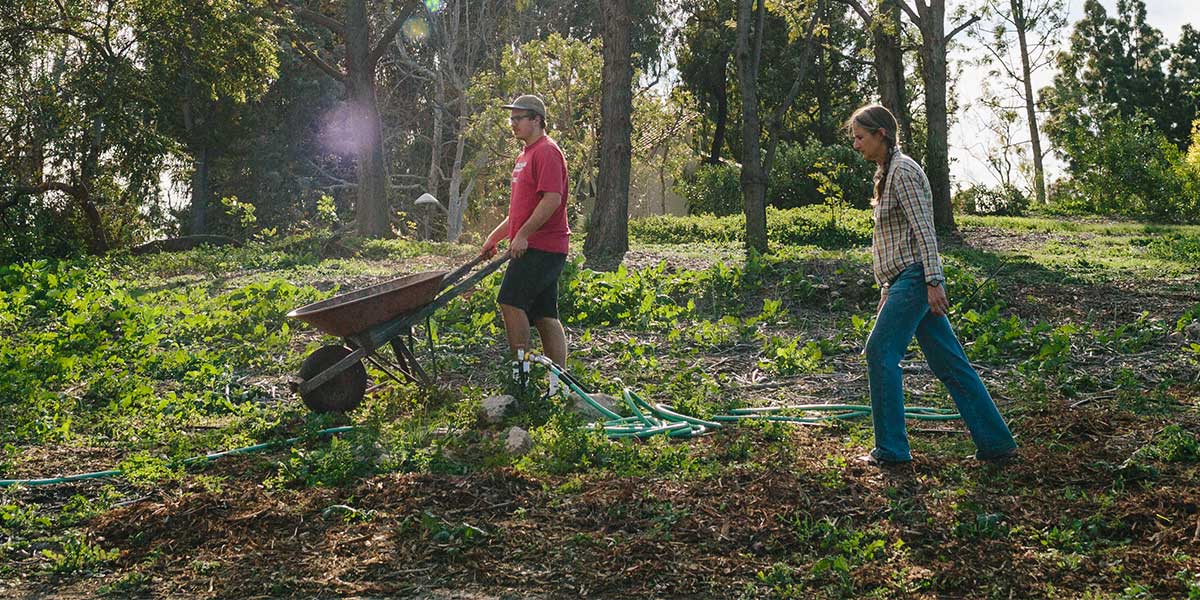 Volunteers working in the Heritage Garden